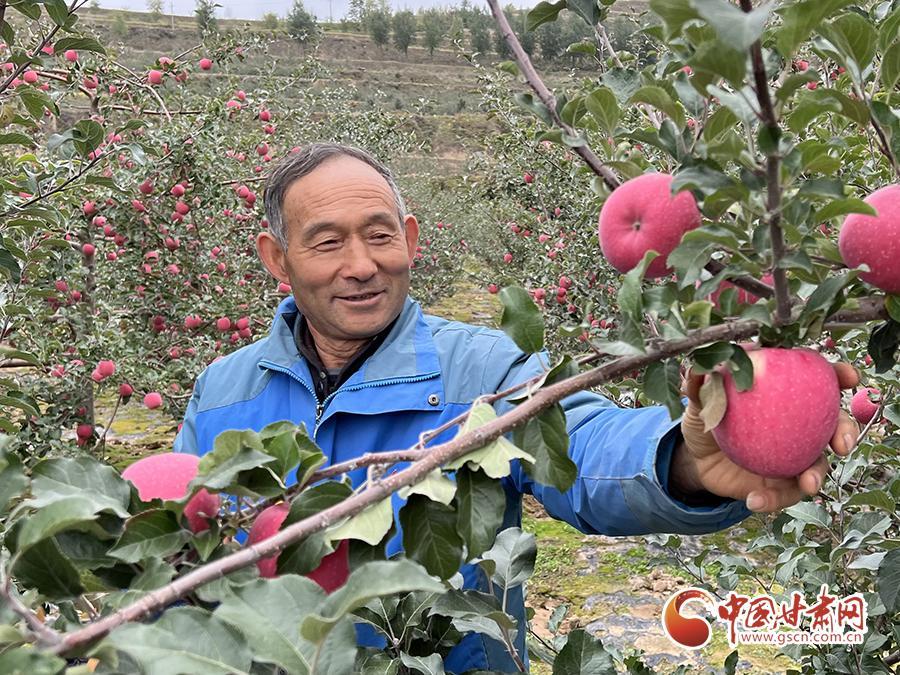 江苏滴滴节水科技，引领节水科技新篇章