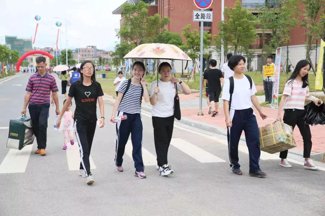 广东省交通警察网，守护道路交通安全的重要力量