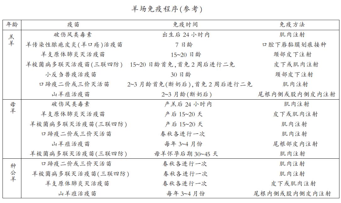 两个月宝宝打疫苗的重要性及其注意事项