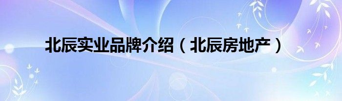 北辰房产中介，专业引领未来，打造品质居住之选