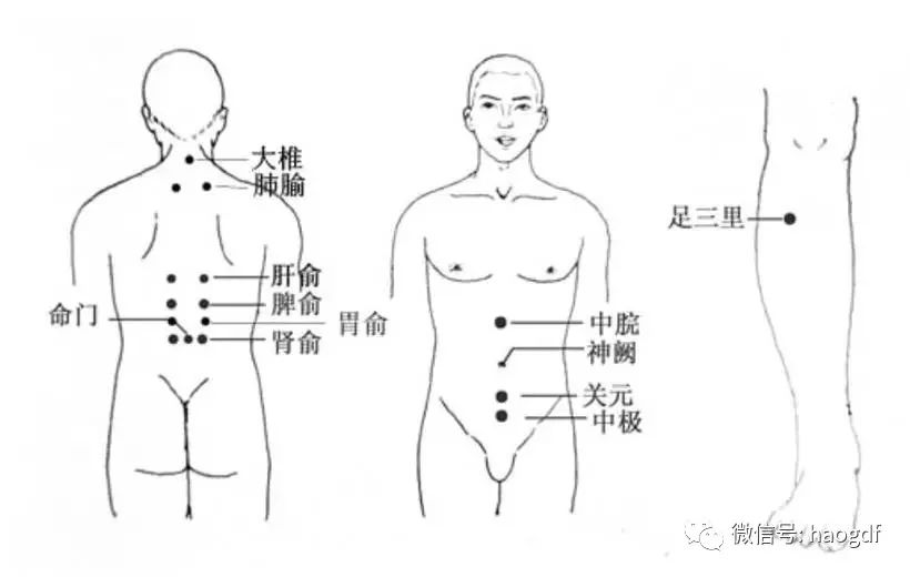 艾灸与甲减，三个月的探究之路