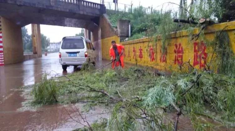 广东省交通局电话，连接你我，畅通无阻的交通桥梁