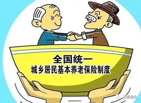 广东省社保补缴政策解析，能否补交及如何操作