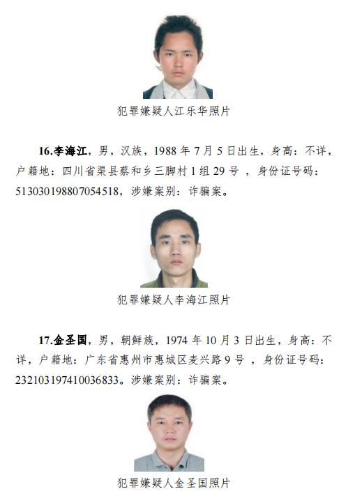 广东省诈骗数额及其影响，深度分析与探讨